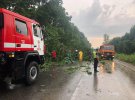 На Київщині гроза повалила дерева