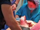 В Краматорске Донецкой области мужчина пытался покончить с собой. И нанес себе около 20 порезов на глазах и у посетителей больницы и медиков