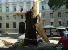 В Одесі негода повалила дерева