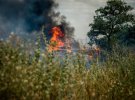 Бойцы ООС на Приазовье преодолели масштабный пожар