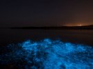 Голандський фотограф Розелін Реймонд зафіксувала в нічному морі унікальне явище "морського сяйва"