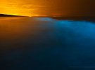 Голандський фотограф Розелін Реймонд зафіксувала в нічному морі унікальне явище "морського сяйва"