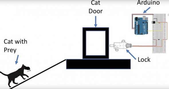 Інженер підключив до дверей камеру з підтримкою штучного інтелекту, яка блокує вхід для кота