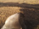 В поле возле поселка Староверовка Купянского района на Харьковщине упал военный самолет
