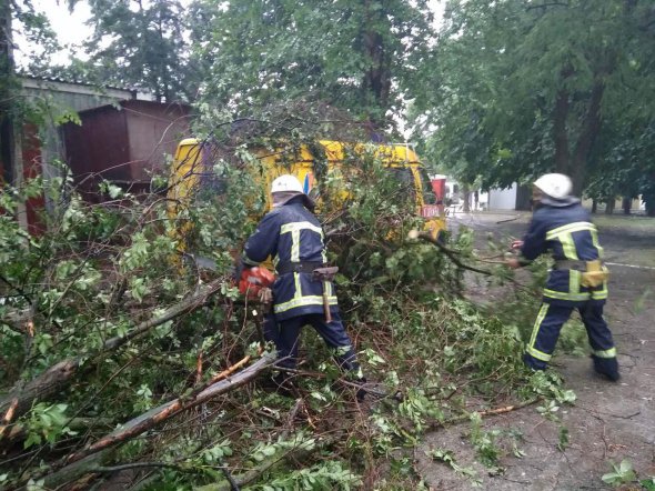 В Винницкой области ураган наделал беды меньшей по мере в 10 районах