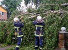 Винницкая область: шквальный ветер с градом пронесся по 6 районах, последствия ужасают