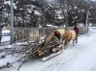 Доставка товарів недешева: авіа до Тбілісі і машиною по горах до місця