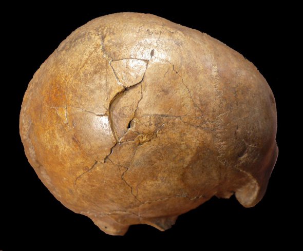 В Румынии нашли первобытный череп с признаками насильственной смерти