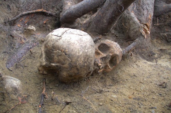 В Польше нашли древнюю виселицу с остатками казненных