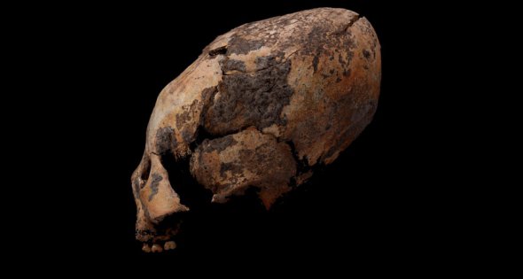 В Китае обнаружили деформированные черепа