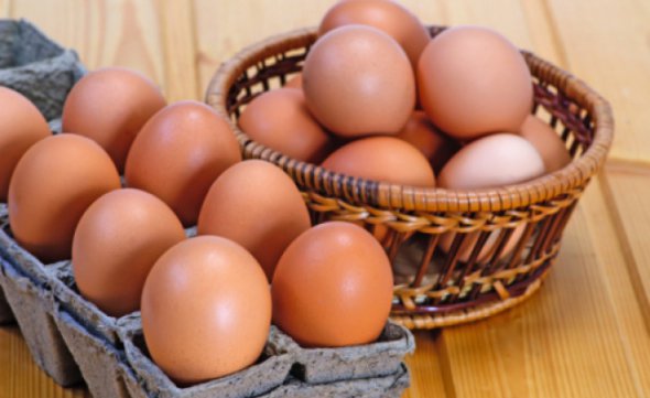 За первые 6 месяцев 2019 года Украина экспортировала яиц на 62,9 млн долл. 