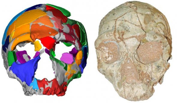 Череп найдавнішого представника виду Homo Sapiens - кроманьйонця знайшли у Греції. 
