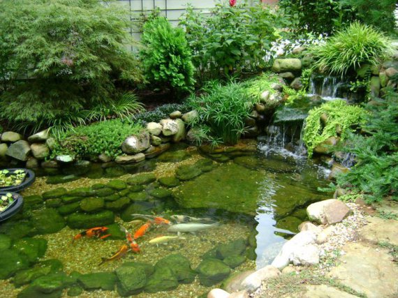 Даже небольшой водоем способен превратить сад в очаровательное место, в котором можно спрятаться от будничной суеты и отдохнуть  как телом, так и душой.