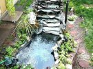 Навіть невелика водойма здатна перетворити сад на чарівне місце, у якому можна сховатися від буденної метушні й відпочити і тілом, і душею.