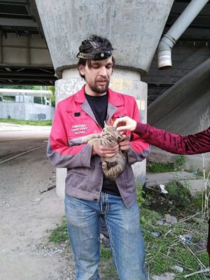 Михайло Сторожук має диплом програ­міста. Останні п’ять років працює у Команді порятунку тварин Києва