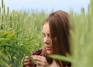 Пшениця, жито, ячмінь цвітуть в Україні в середині літа. Триває цей процес два-три тижні. Пилок цих рослин є сильним алергеном