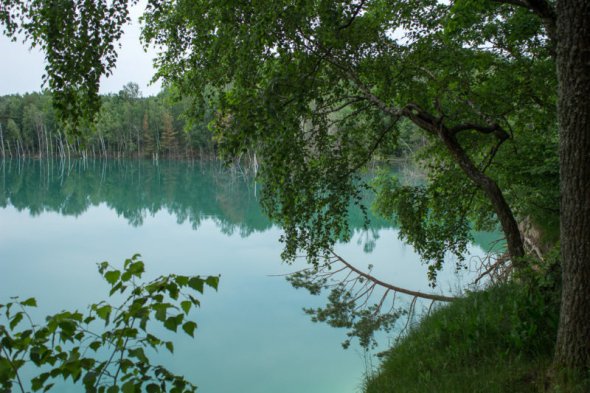 Голубая вода в Черепашинцах.  ФОТО: vinnitsa.biz