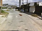 Камеры Google Street View сделали смешные случайные снимки животных
