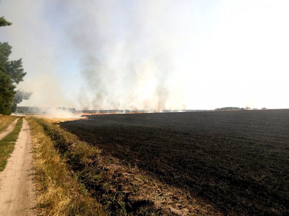 У селі Ватажково Полтавського району горіло поле