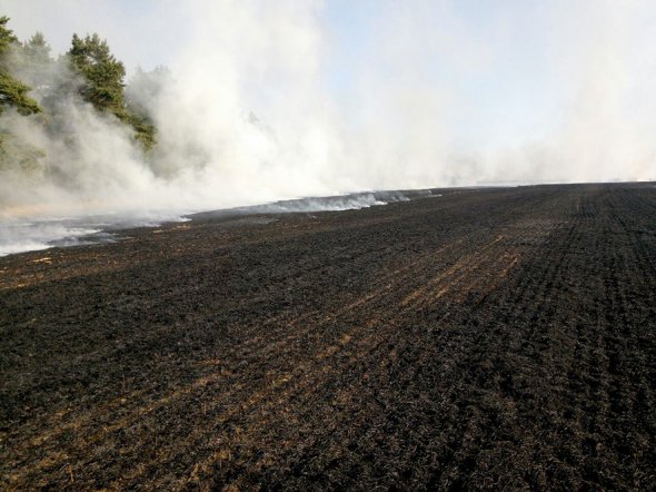 У селі Ватажково Полтавського району горіло поле