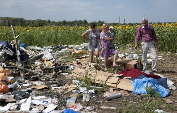 Жители Чистяково ходят вокруг обломков самолета