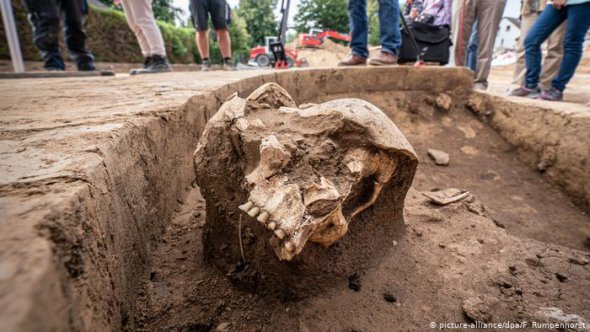 Во Франкфурте нашли череп представителя линейно-ленточной керамики