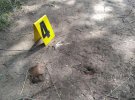 У Полтаві знайшли кістки дитини