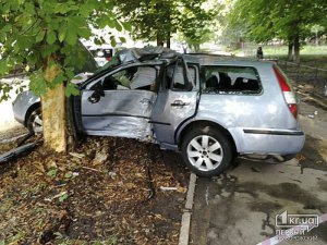 В Желтых Водах легковушка въехала в дерево, есть погибшие и пострадавшие. Фото: 1kr.ua