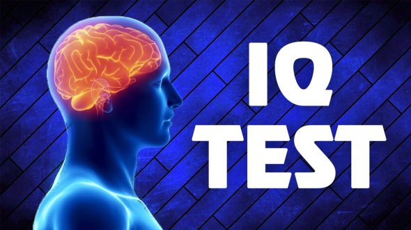 Самый короткий в мире IQ-тест