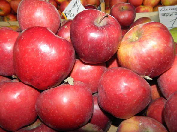 Цены на яблоки урожая-2019 будут заоблачными