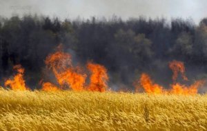 Рятувальник Анатолій Слободянюк загинув після гасіння палаючого поля 