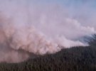 Лісові пожежі спричинили сухі грози, вітряна погода і тридцятиградусна спека