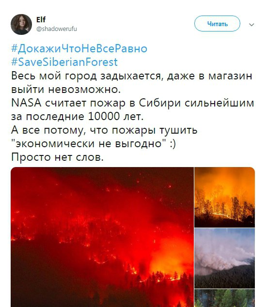 Найсильніші за останні 10 тисяч років пожежі гасити "економічно не вигідно"