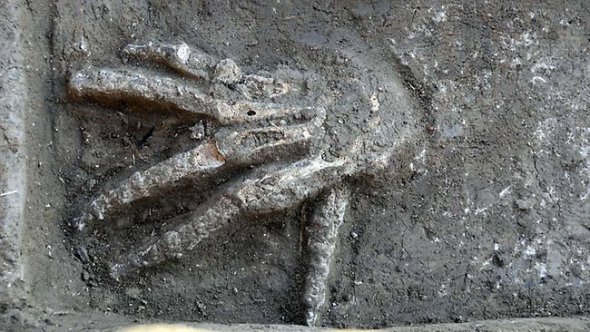 У Єгипті знайшли жертовник із людськими руками