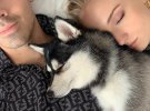 Собака Софи Домашний любимец появился в семье Софи Тернер и Джо Джонаса в апреле 2018погибла во время несчастного случая в Нью-Йорке