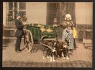 Фламандская молочница, Антверпен, Бельгия, 1890-1900.