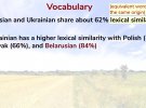Українська має спільну лексику з російською на 62%, в той час як з білоруською, польською, словацькою значно більше.
