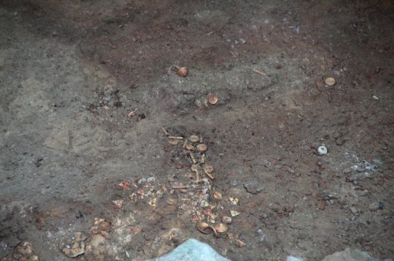 На урочище Скоробор в Бельском городище на Полтавщине нашли неповрежденный курганный могильник VI в. до н.э. с золотыми украшениями