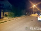 Поліція затримала чоловіків, які розстріляли автомобіль у Дніпрі