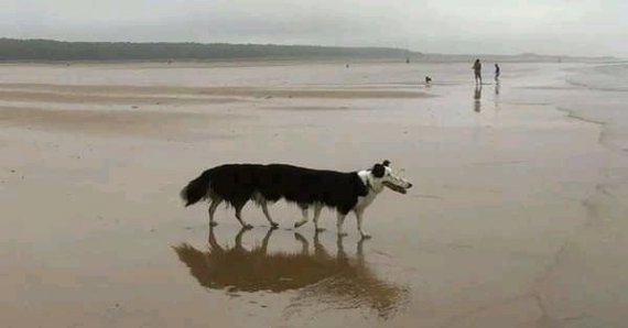 У фотожабах користувачі мережі показали можливі наслідки таких подій.