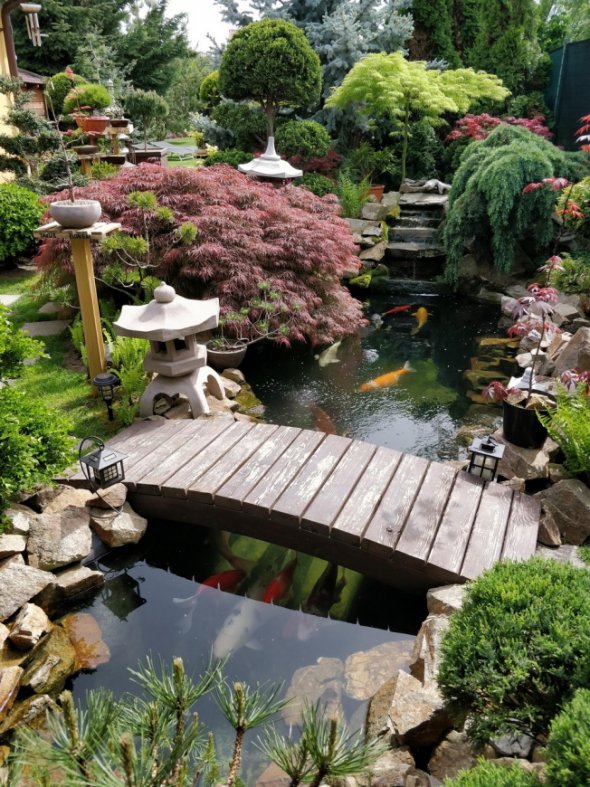 Японські сади є взірцем гармонійного співіснування природи й людей.