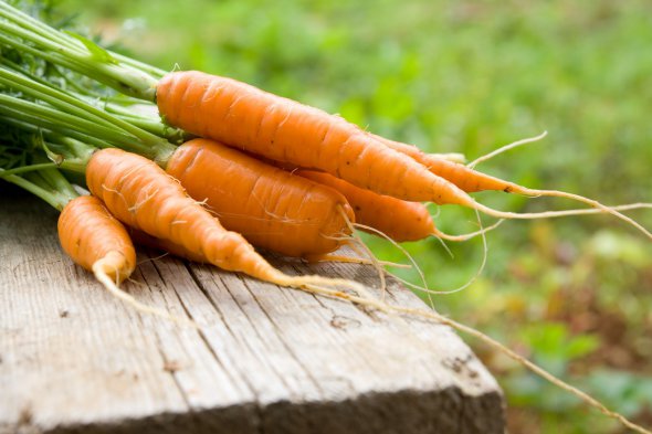 Морква коштує на 38% дешевше, ніж в аналогічний період торік. 