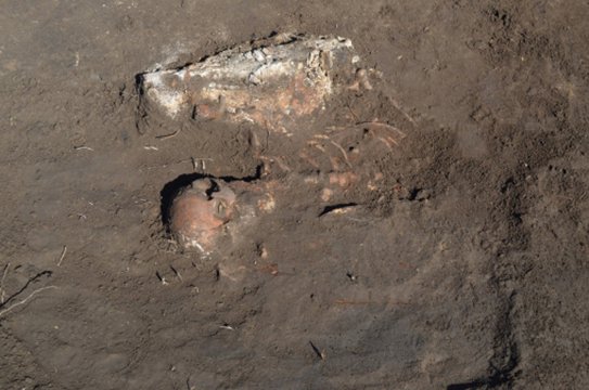 У Запорізькій області розкопали середньовічного кочівника разом із конем