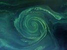 Спутниковое изображение зеленого вихря, что крутится в Финском заливе