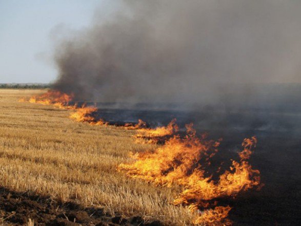Украинцев предупреждают о высокой пожароопасности. ФОТО: УНН
