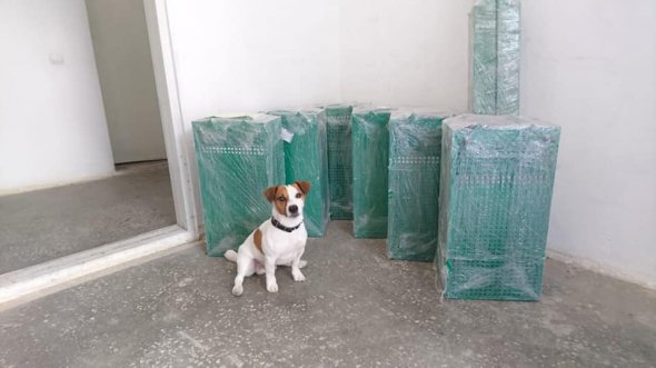 У Вінниці встановлять 6 собачих вбиралень з річним запасом біопакетів. Фото: надане Іриною Баранович. 