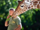 У Македонському зоопарку жирафи подружилися з наглядачем
