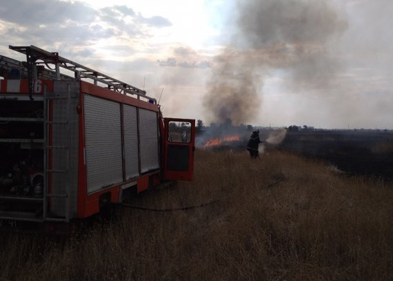 Протягом літа на Полтавщині понад 500 разів горіла рослинність на відкритих територіях