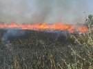 Протягом літа на Полтавщині понад 500 разів горіла рослинність на відкритих територіях