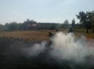 Протягом літа на Полтавщині понад 500 разів горіла рослинність на відкритих територіях